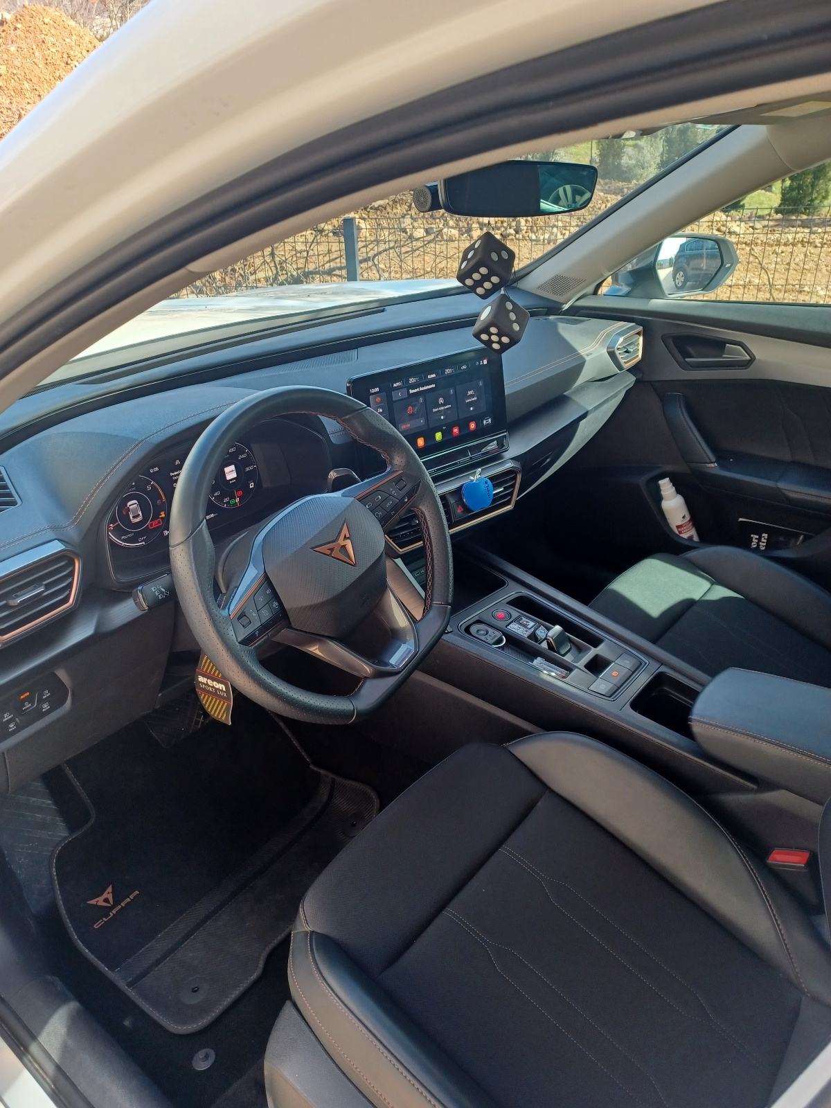 Cupra Formentor 2,0 TDI evo DSG 4Drive, fotografija 14