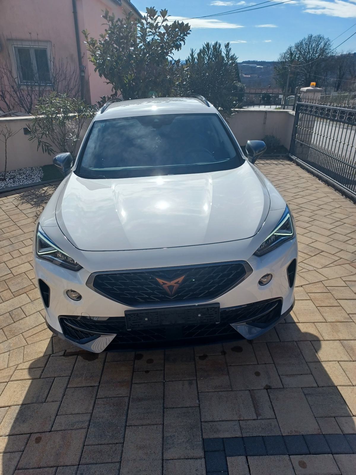 Cupra Formentor 2,0 TDI evo DSG 4Drive, fotografija 17