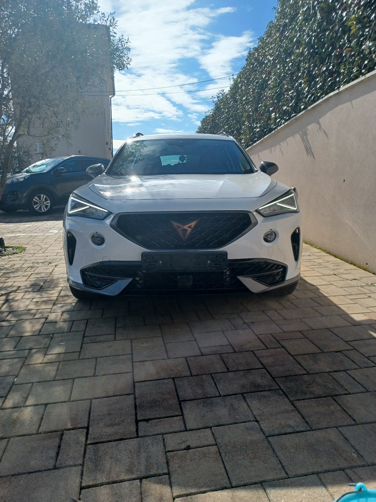 Cupra Formentor 2,0 TDI evo DSG 4Drive, fotografija 16