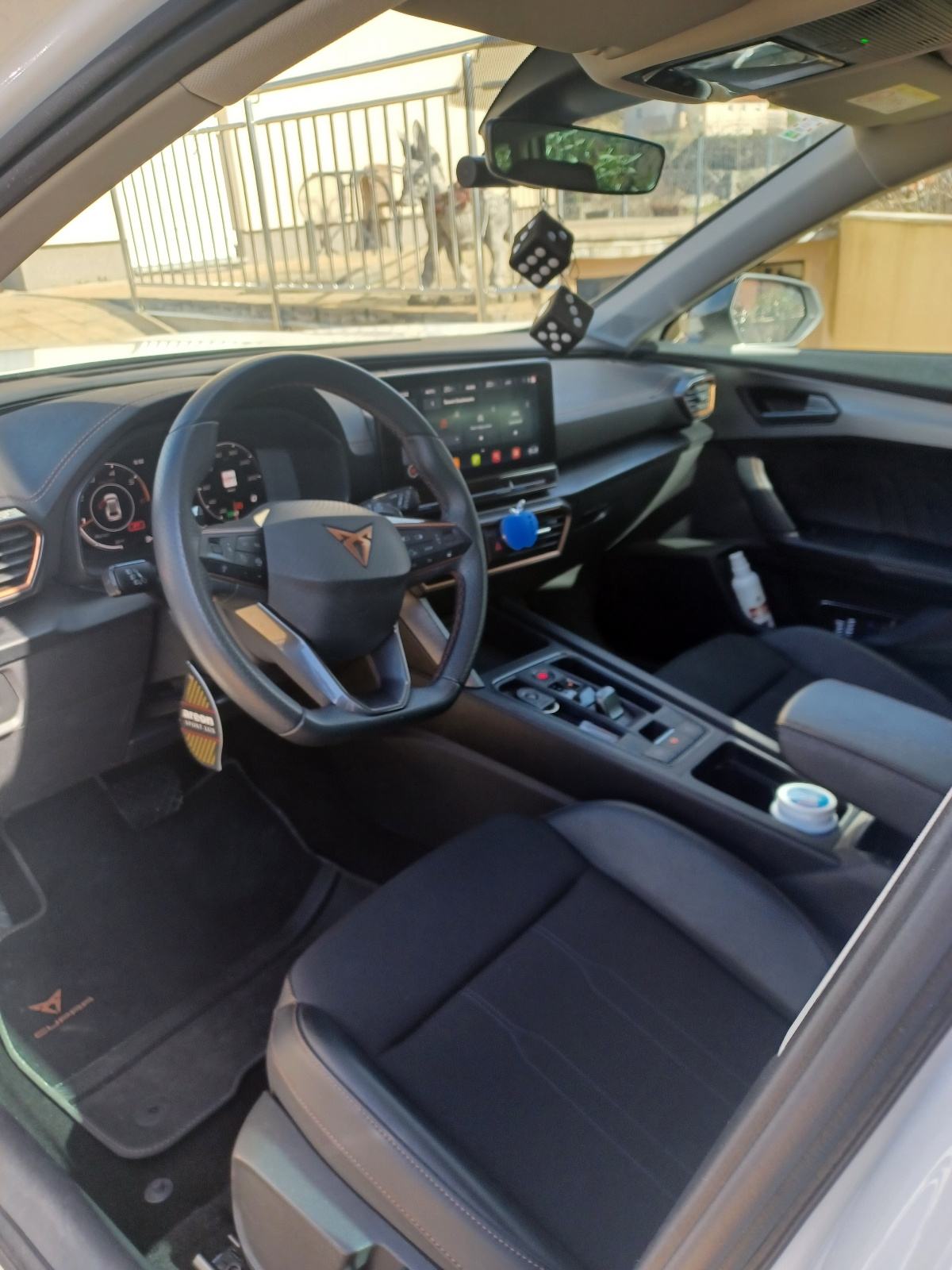 Cupra Formentor 2,0 TDI evo DSG 4Drive, fotografija 19