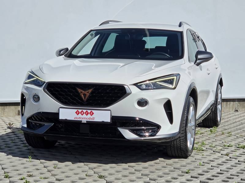 Cupra Formentor 2.0 TDI DSG 4DRIVE, fotografija 4