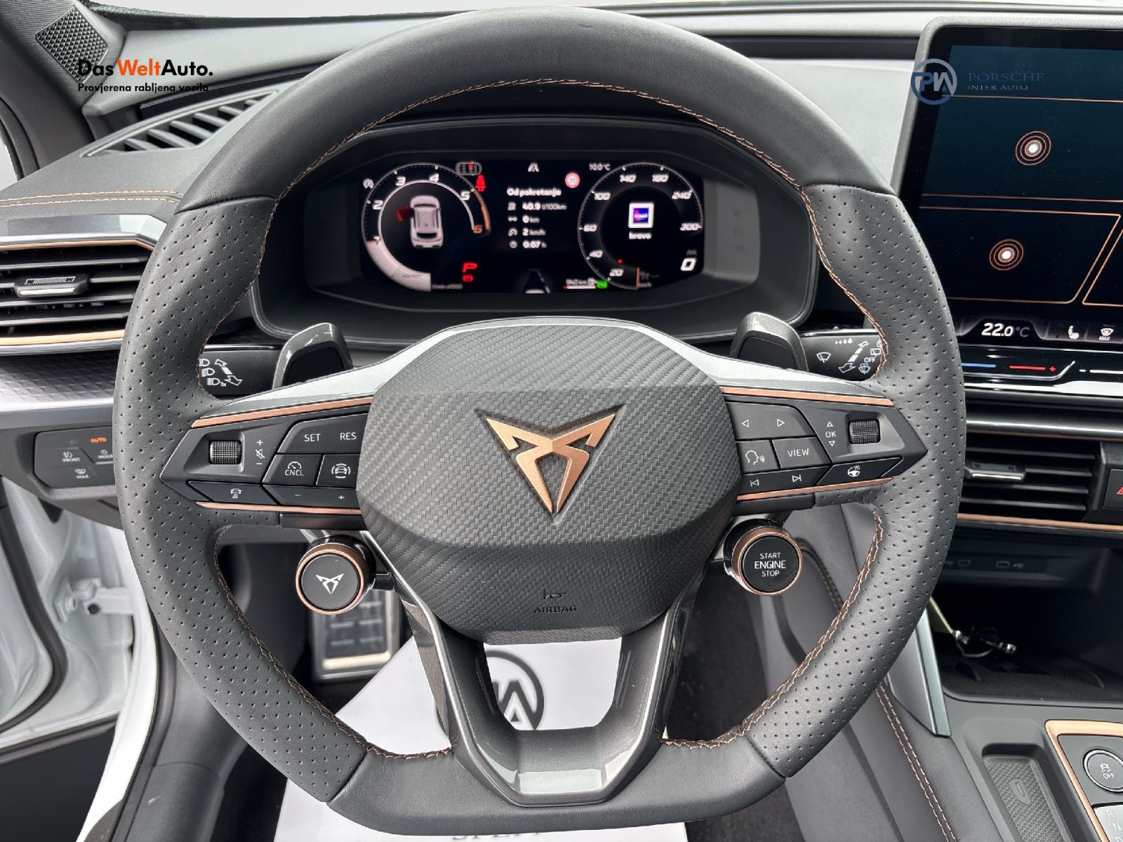 Cupra Formentor 2,0 TDI automatik, fotografija 10