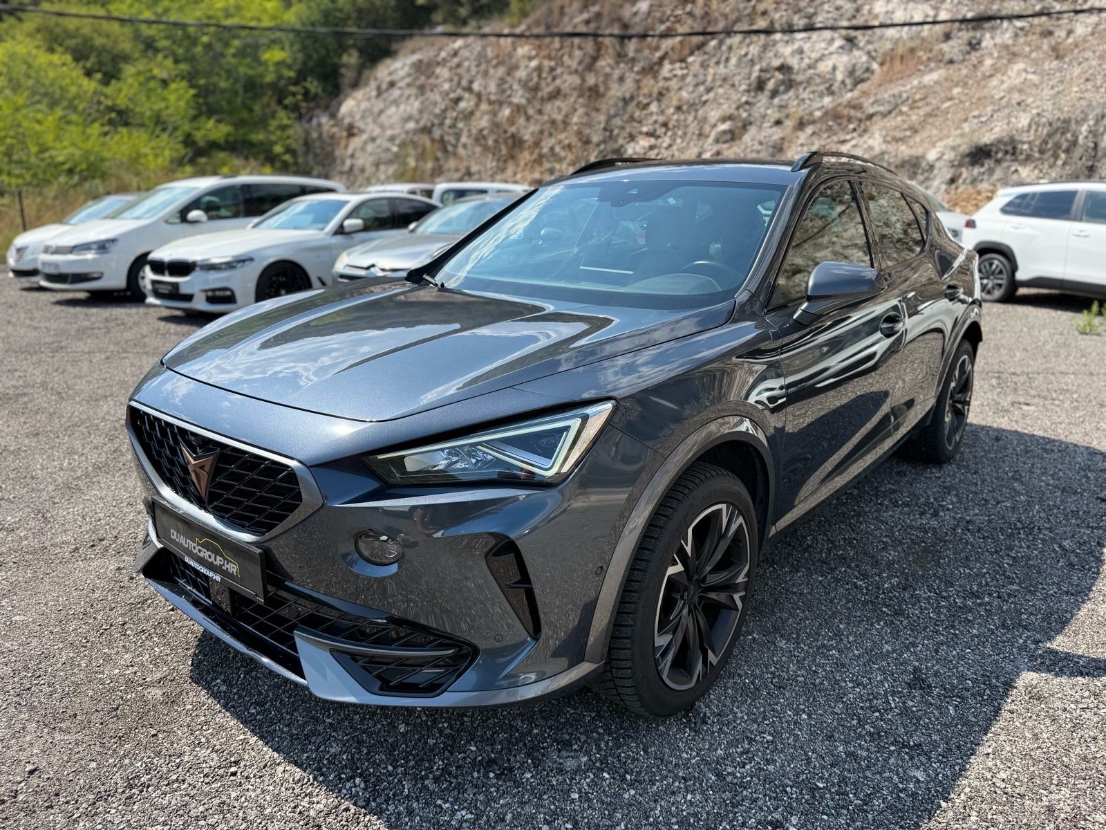 Cupra Formentor 2,0 TDI DSG 4x4, fotografija 3