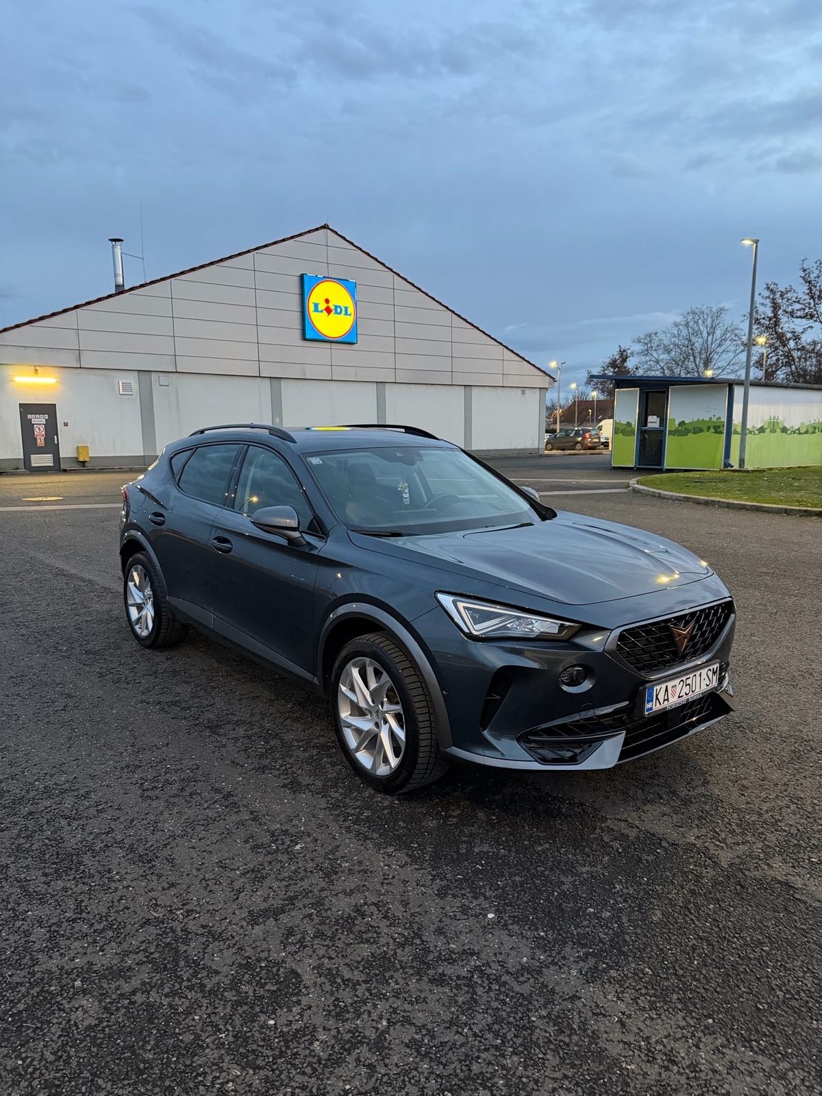 Cupra Formentor 2,0 TDI DSG 4Drive, fotografija 7