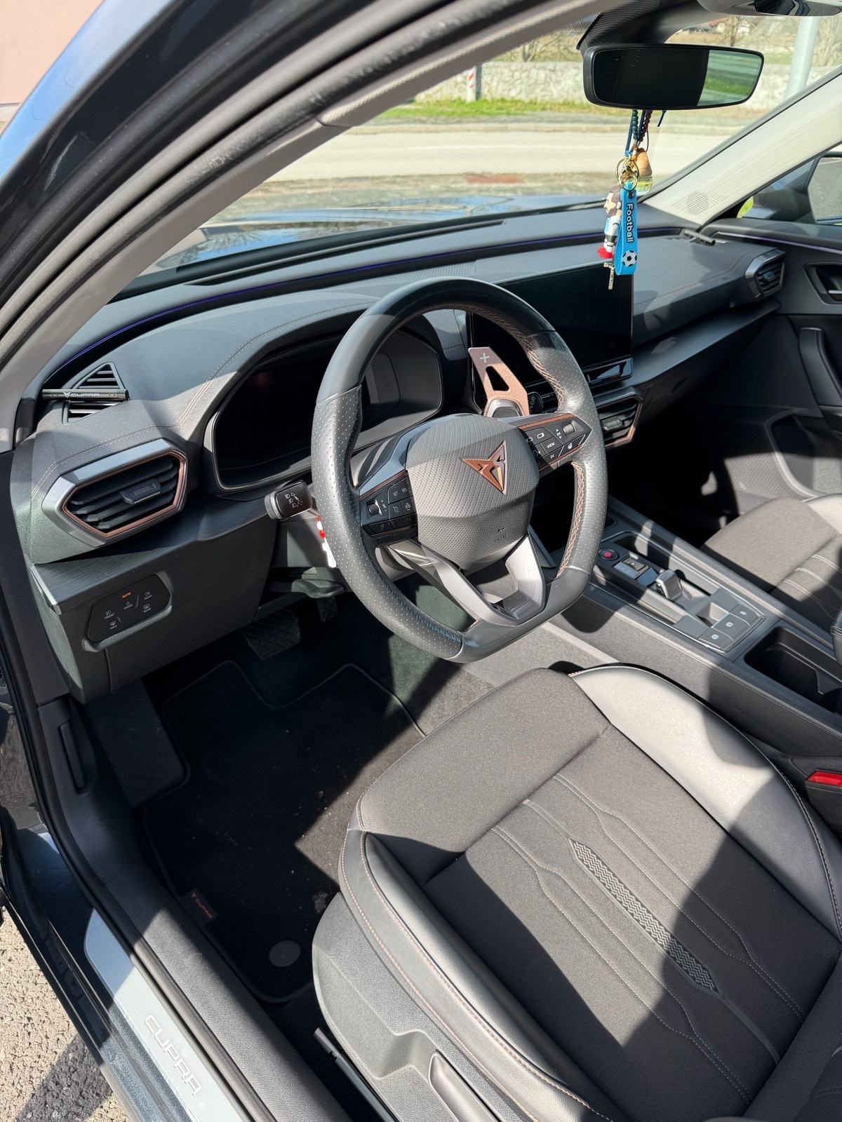 Cupra Formentor 2,0 TDI DSG 4Drive, fotografija 8