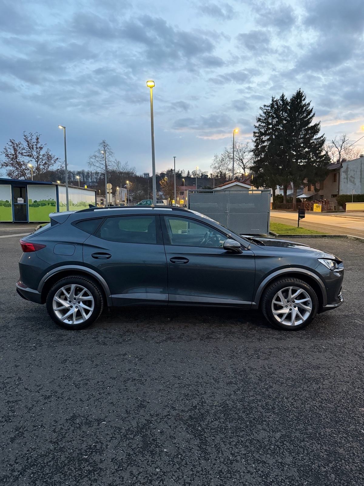 Cupra Formentor 2,0 TDI DSG 4Drive, fotografija 6