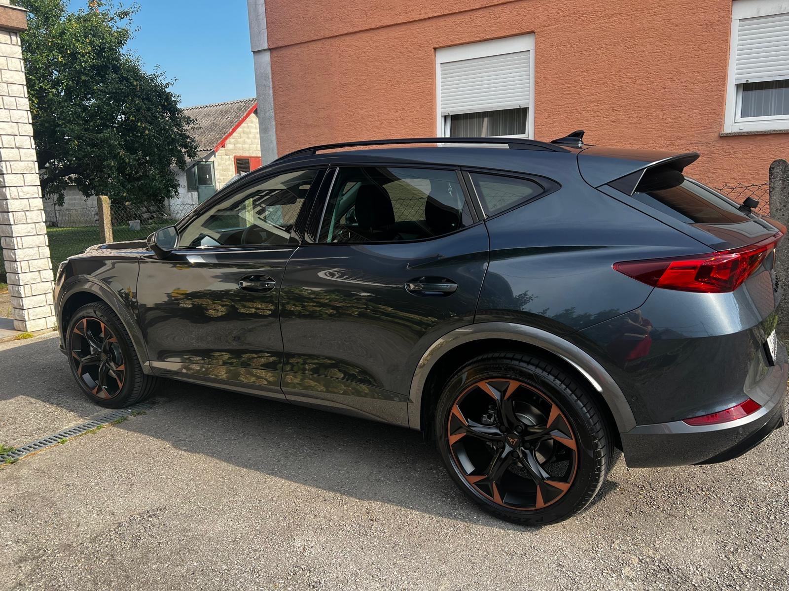 Cupra Formentor 2.0 TDI EVO DSG 4Drive, fotografija 2