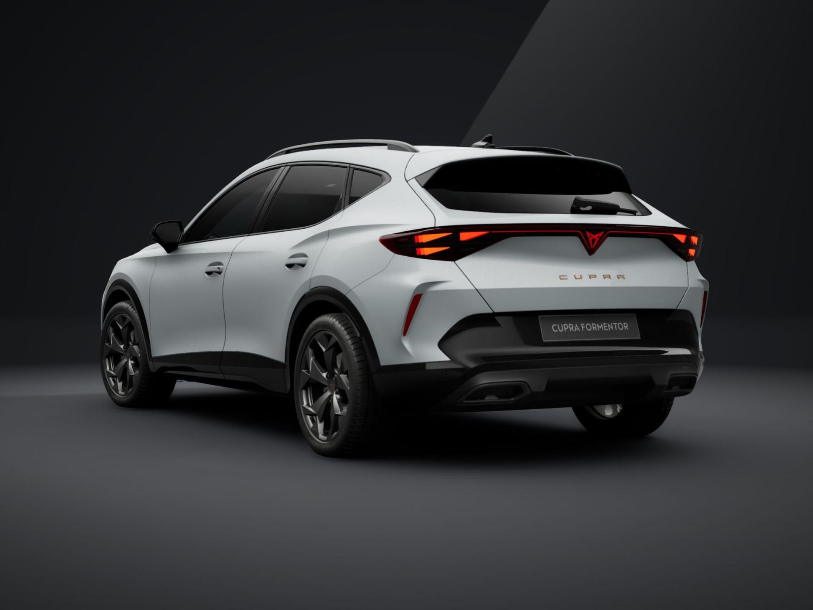 CUPRA FORMENTOR 2.0 TDI evo DSG, fotografija 3
