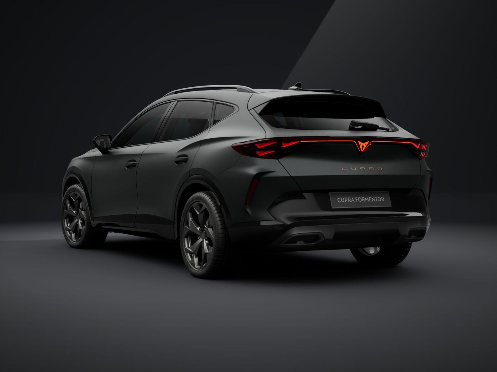 Cupra Formentor 2,0 TDI evo DSG **VOZILO U DOLASKU**, fotografija 6