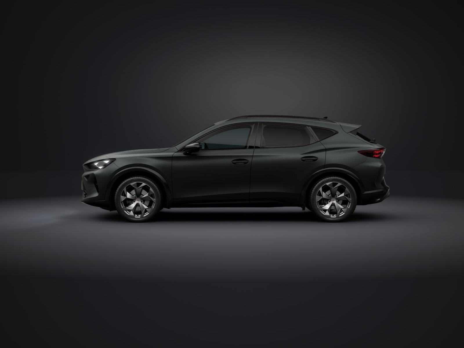 Cupra Formentor 2,0 TDI evo DSG **VOZILO U DOLASKU**, fotografija 7