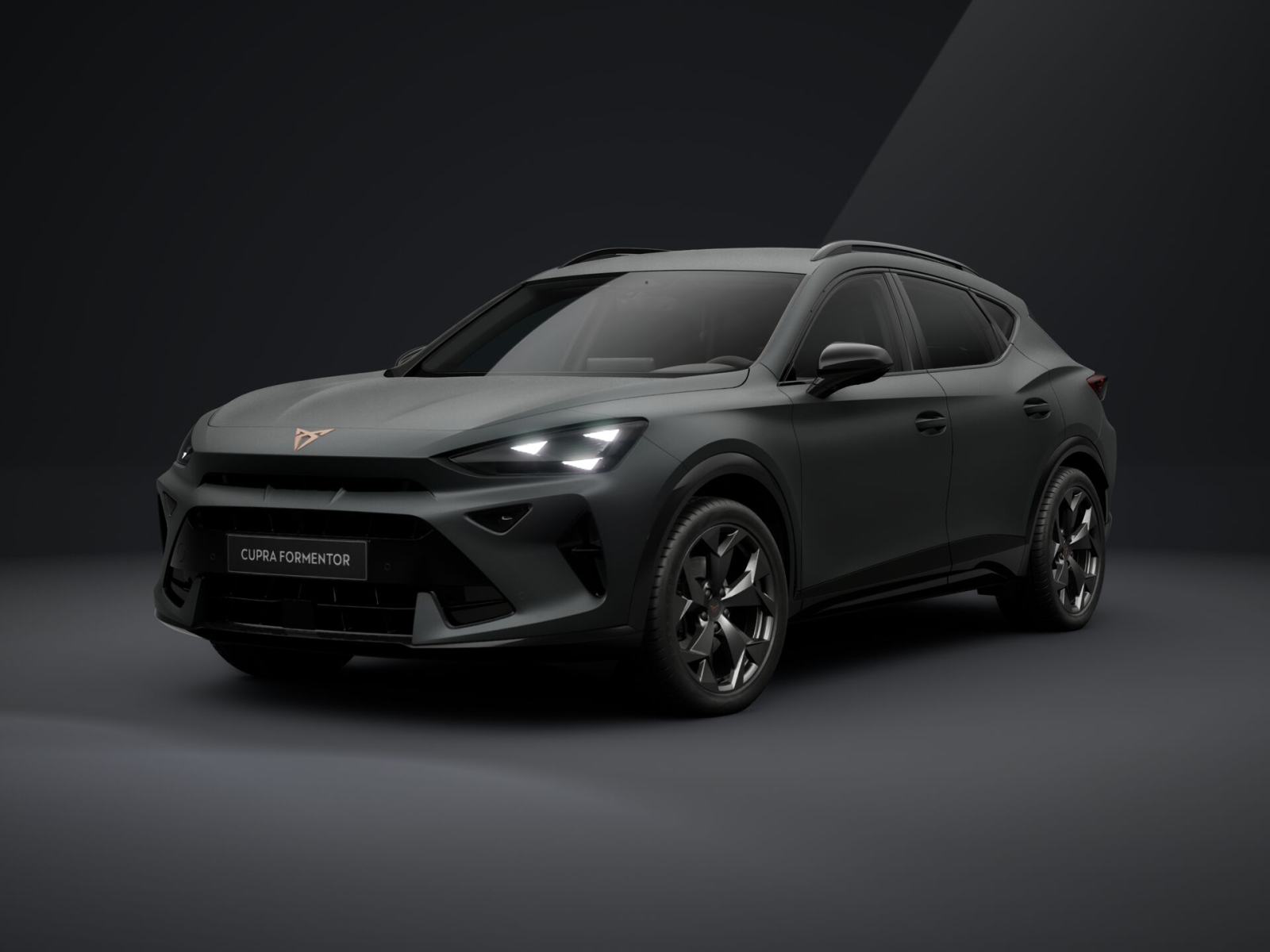 Cupra Formentor 2,0 TDI evo DSG **VOZILO U DOLASKU**, fotografija 8