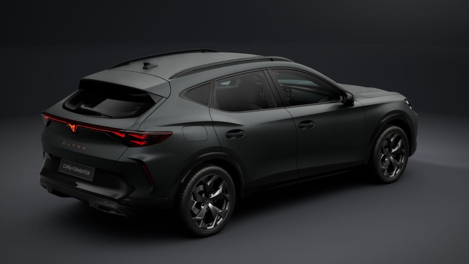 Cupra Formentor 2,0 TDI evo DSG **VOZILO U DOLASKU**, fotografija 3