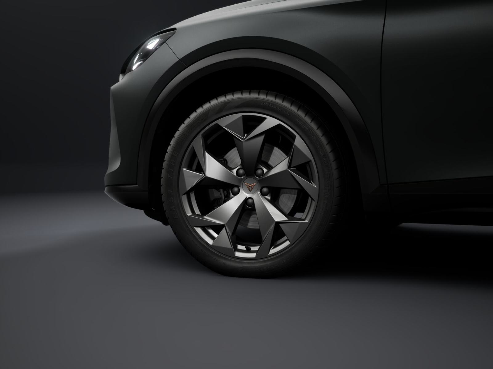 Cupra Formentor 2,0 TDI evo DSG **VOZILO U DOLASKU**, fotografija 13
