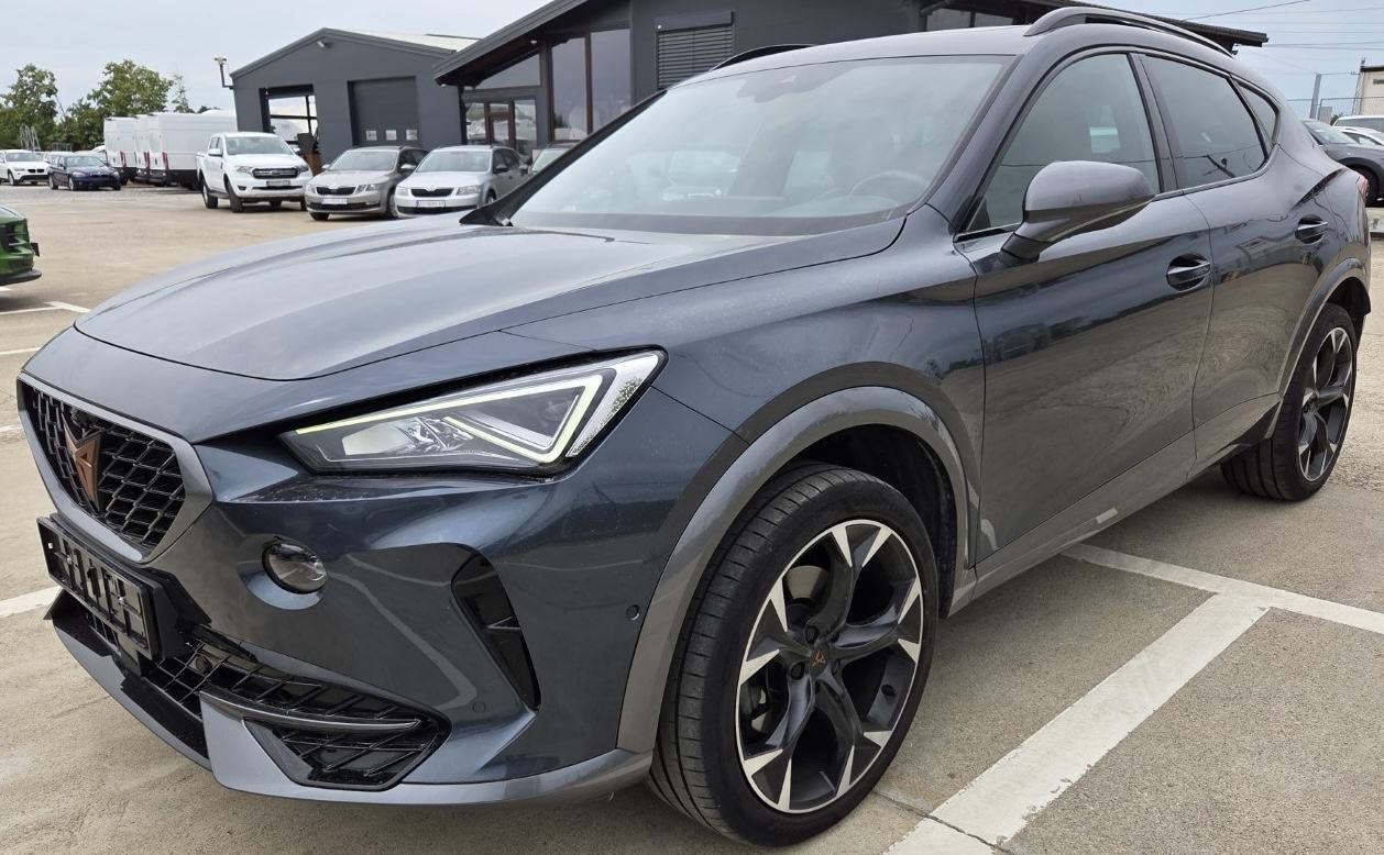 Cupra Formentor 2,0 TSI DSG 4 DRIVE NIJE UVOZ, fotografija 12