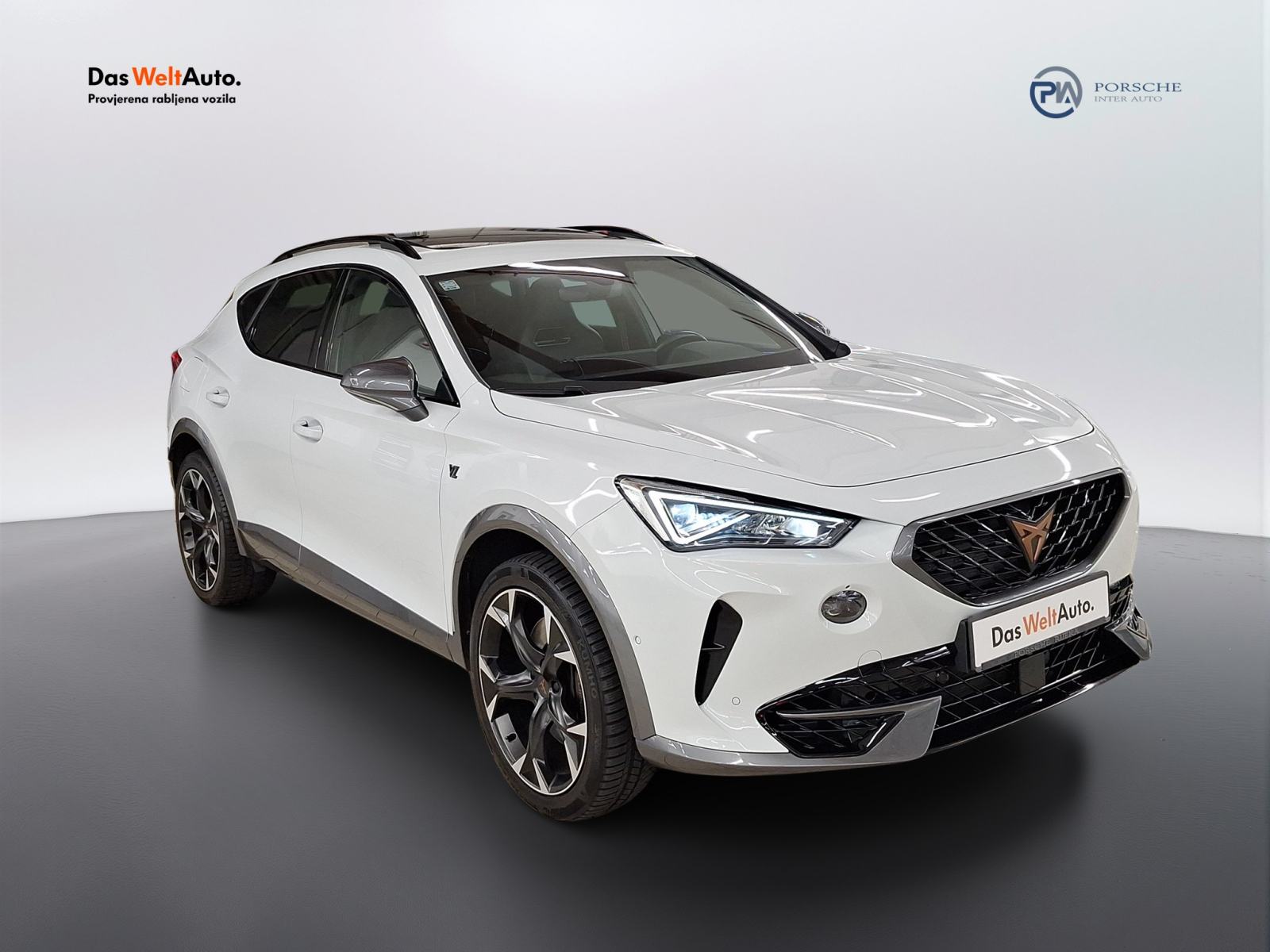 Cupra Formentor 2.0 TSI DSG 4Drive VZ, fotografija 3