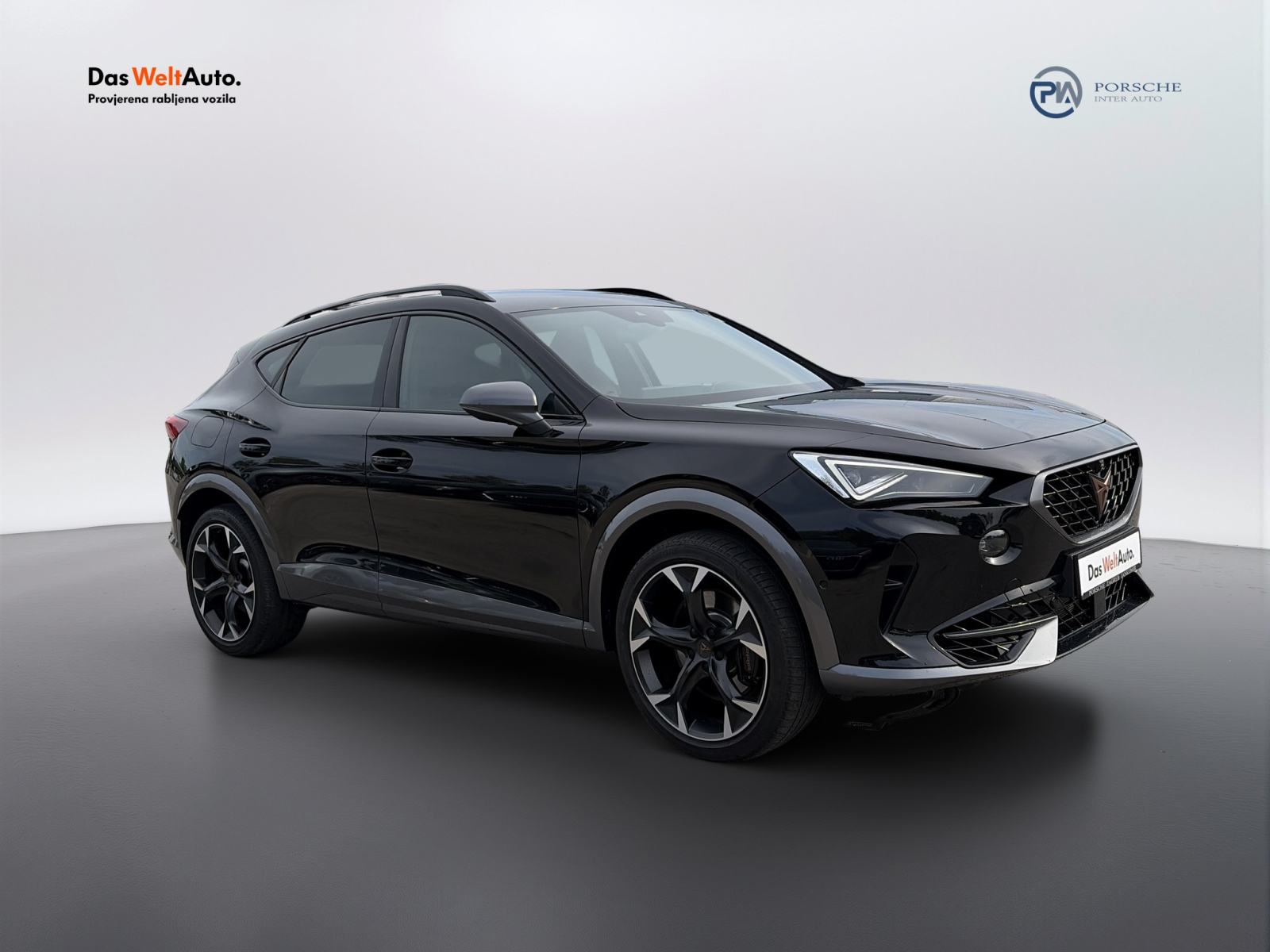 Cupra Formentor 2.0 TSI DSG 4Drive VZ, fotografija 6