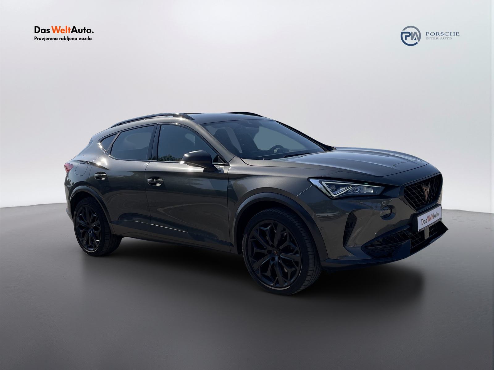 Cupra Formentor 2.0 TSI DSG VZ, fotografija 6