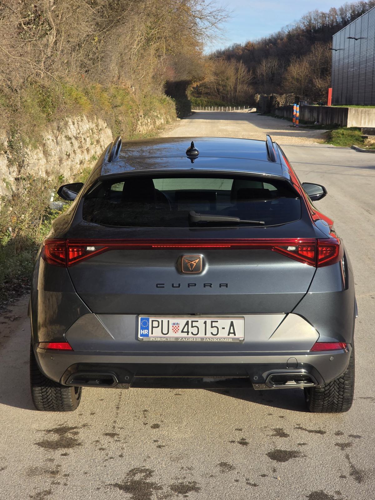 Cupra Formentor 2,0 TSI 4Drive, fotografija 2