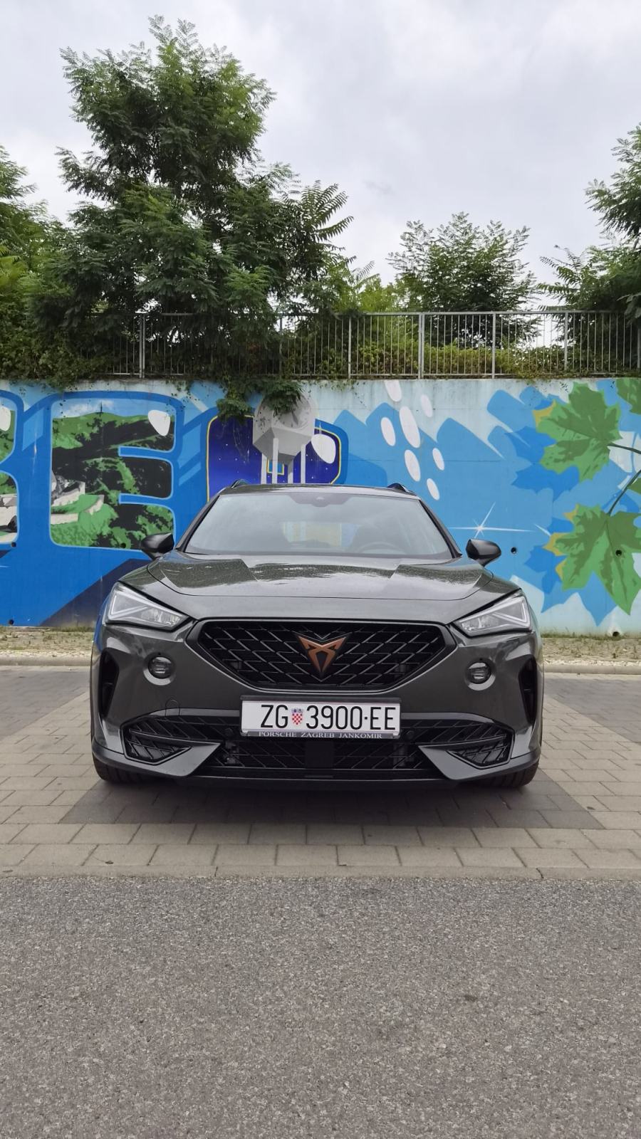 Cupra Formentor 2,0 TSI TRIBE EDITION VZ, fotografija 2