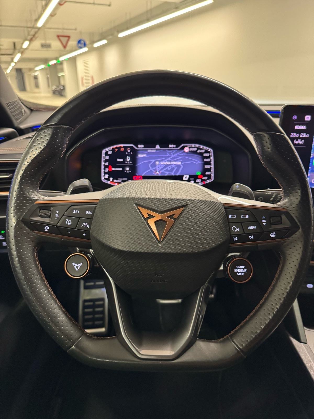 Cupra Formentor 2.0 TSI VZ 310 4Drive DSG, fotografija 11