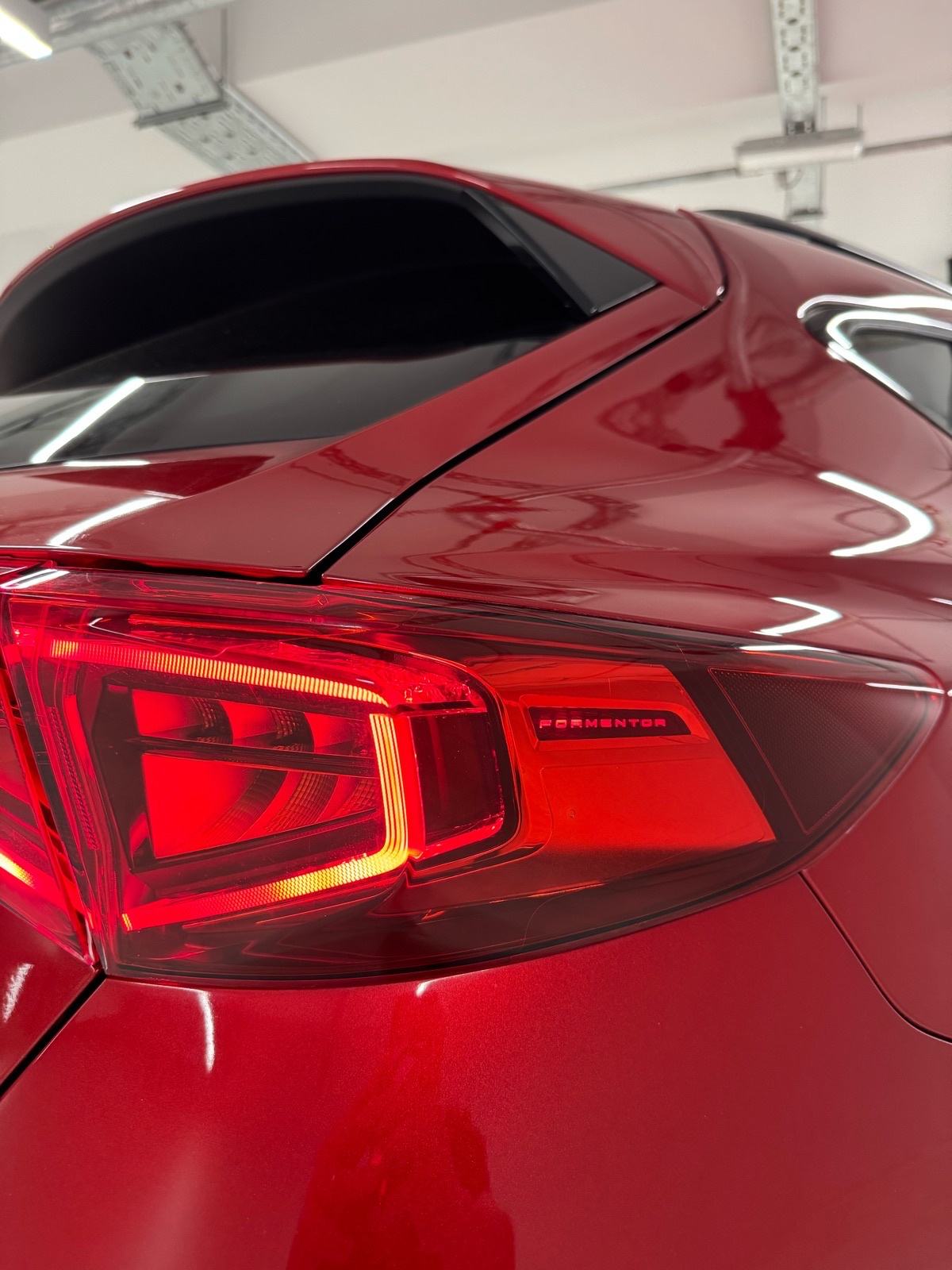 Cupra Formentor 2.0 TSI VZ 310 4Drive DSG, fotografija 6