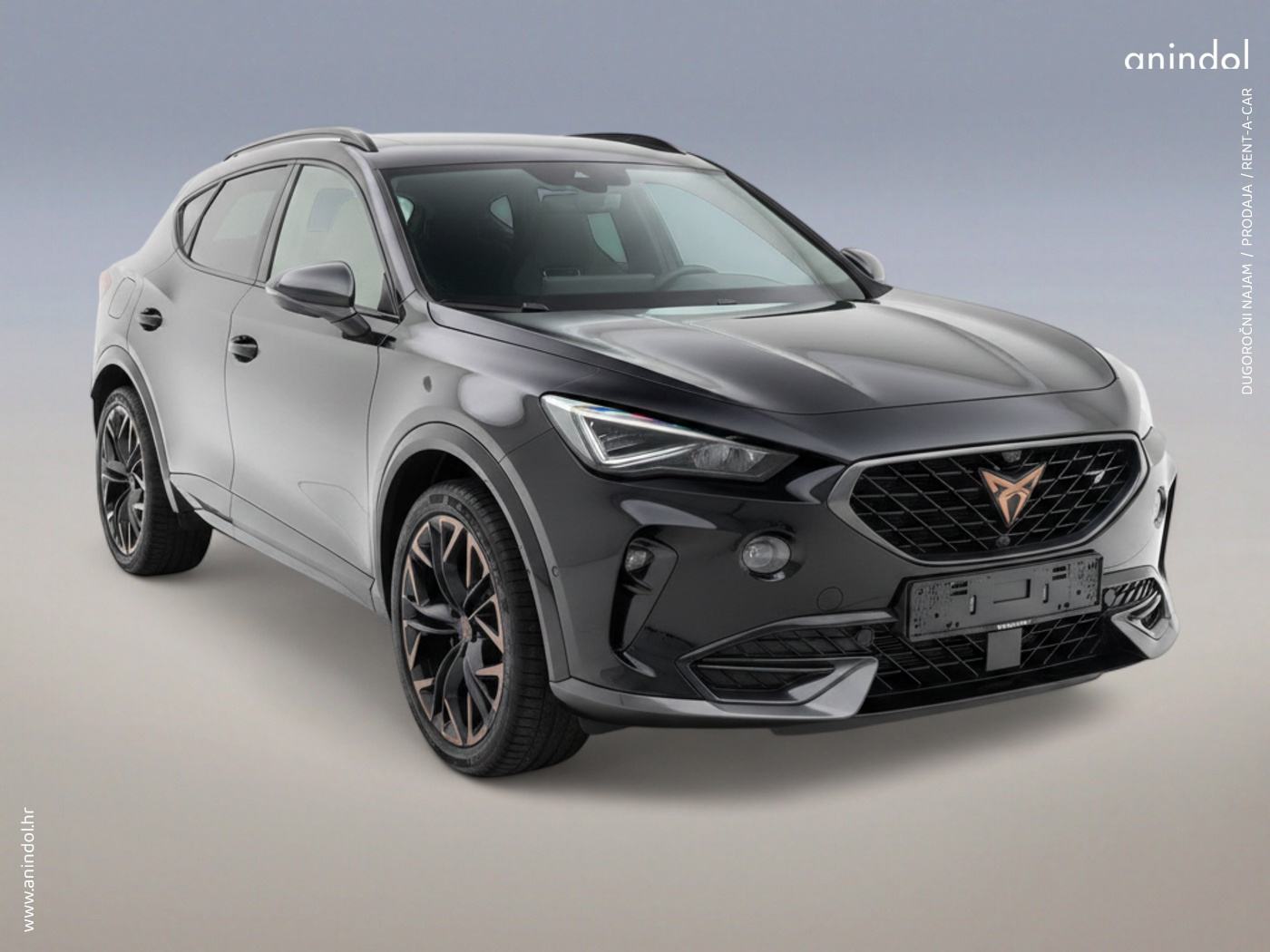 CUPRA TERRAMAR 1.5 eTSI DSG /NAJAM ili PRODAJA /rata 419 €, fotografija 4