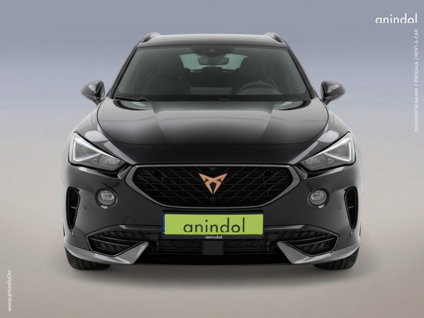 CUPRA TERRAMAR 1.5 eTSI DSG /NAJAM ili PRODAJA /rata 419 €, fotografija 5
