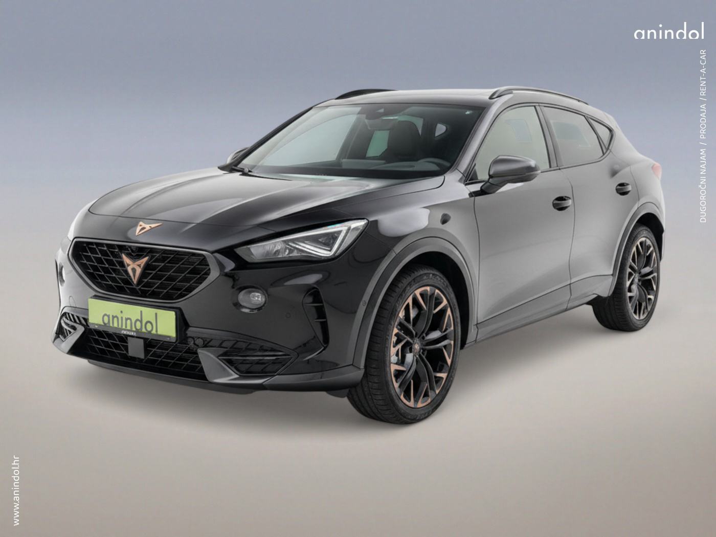 CUPRA TERRAMAR 1.5 eTSI DSG /NAJAM ili PRODAJA /rata 419 €, fotografija 6