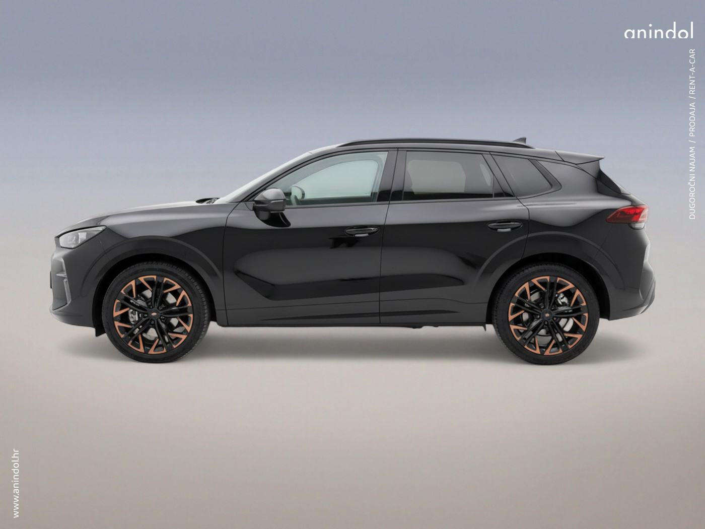 CUPRA TERRAMAR 1.5 eTSI DSG /NAJAM ili PRODAJA /rata 419 €, fotografija 7