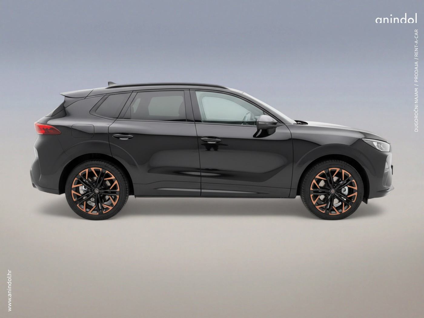 CUPRA TERRAMAR 1.5 eTSI DSG /NAJAM ili PRODAJA /rata 419 €, fotografija 11