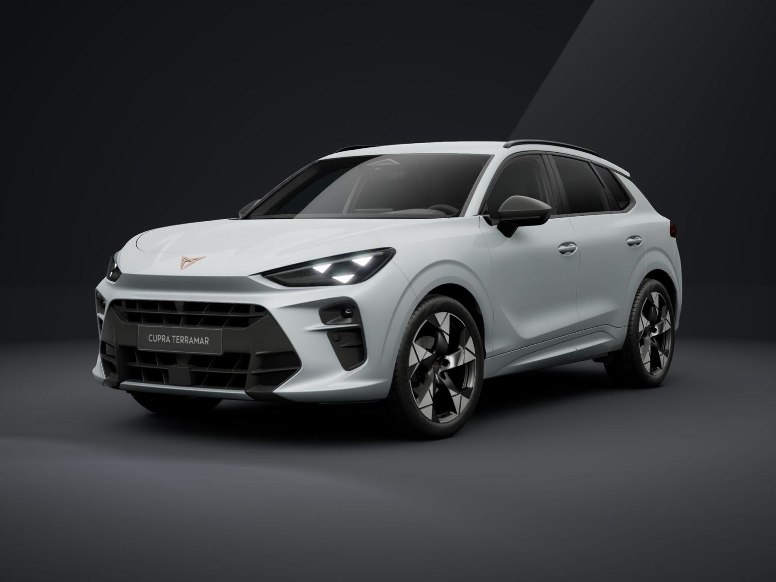 Cupra Terramar 1.5 eTSI DSG **VOZILO U DOLASKU**, fotografija 3