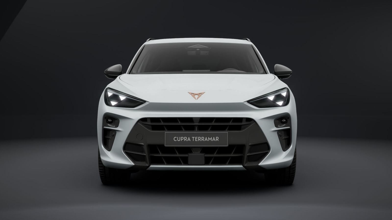Cupra Terramar 1.5 eTSI DSG **VOZILO U DOLASKU**, fotografija 2