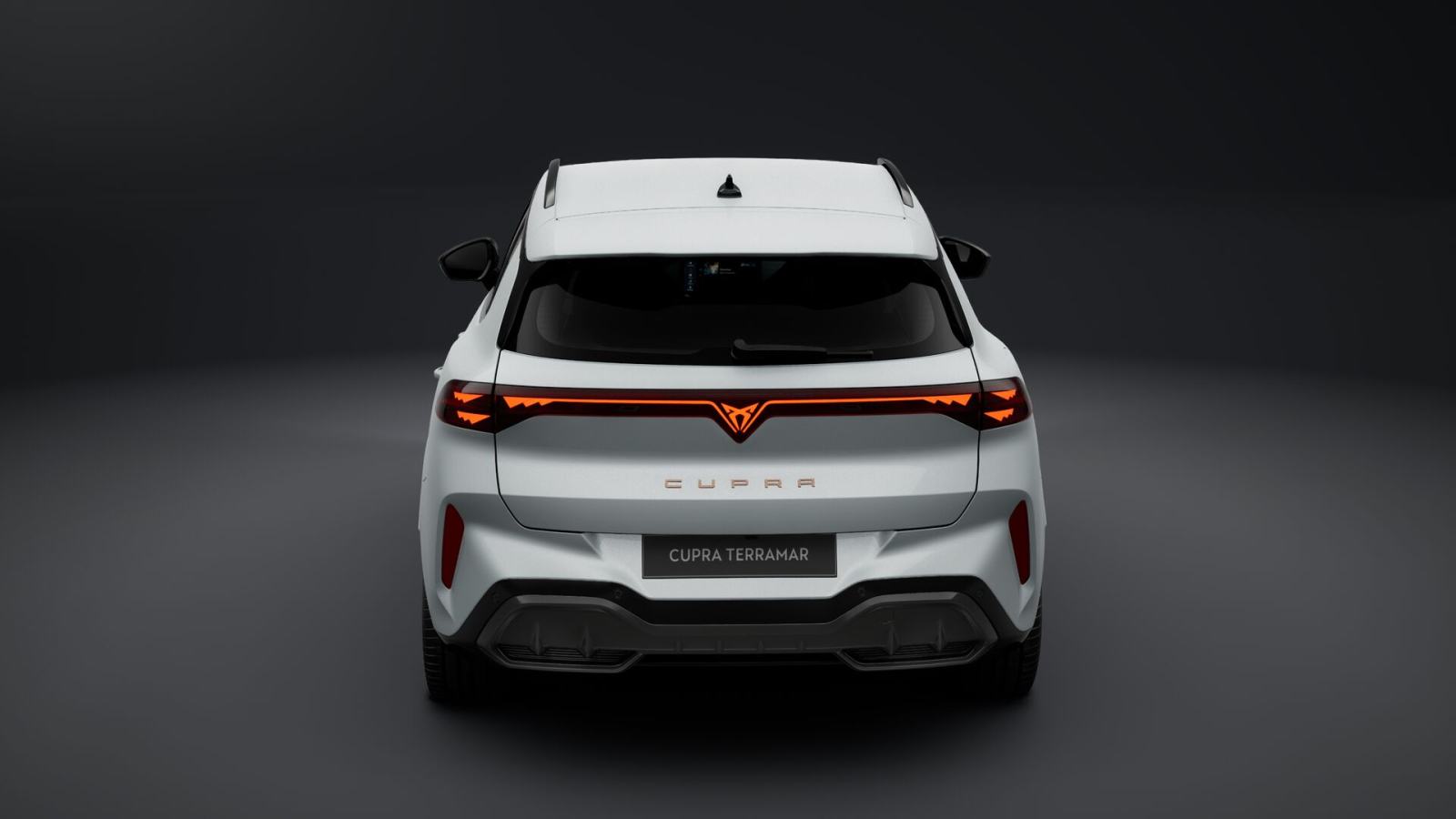 Cupra Terramar 1.5 eTSI DSG **VOZILO U DOLASKU**, fotografija 6