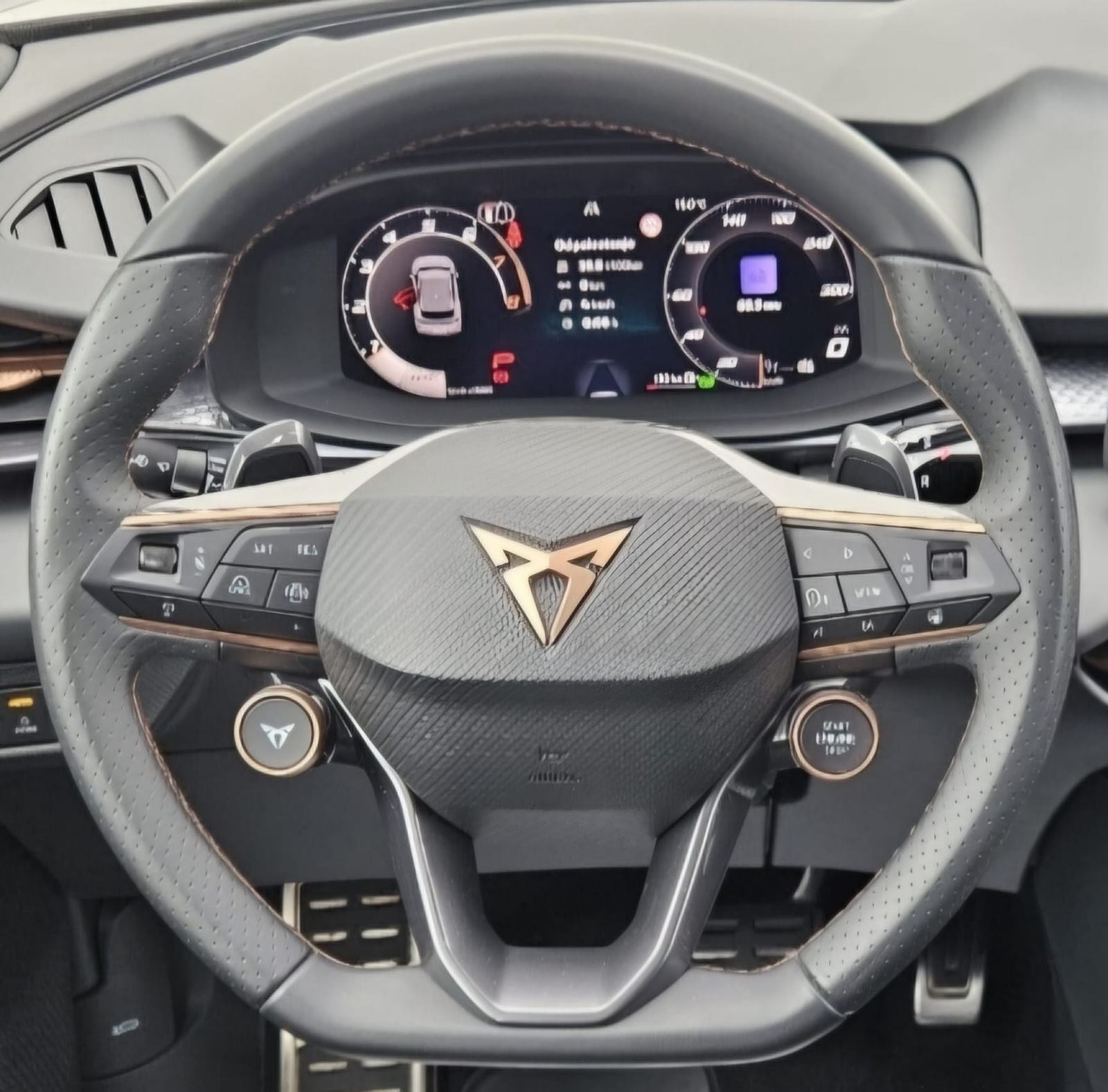Cupra Terramar 2,0 TSi DSG 4Drive FULL HR auto 14200 km, fotografija 13