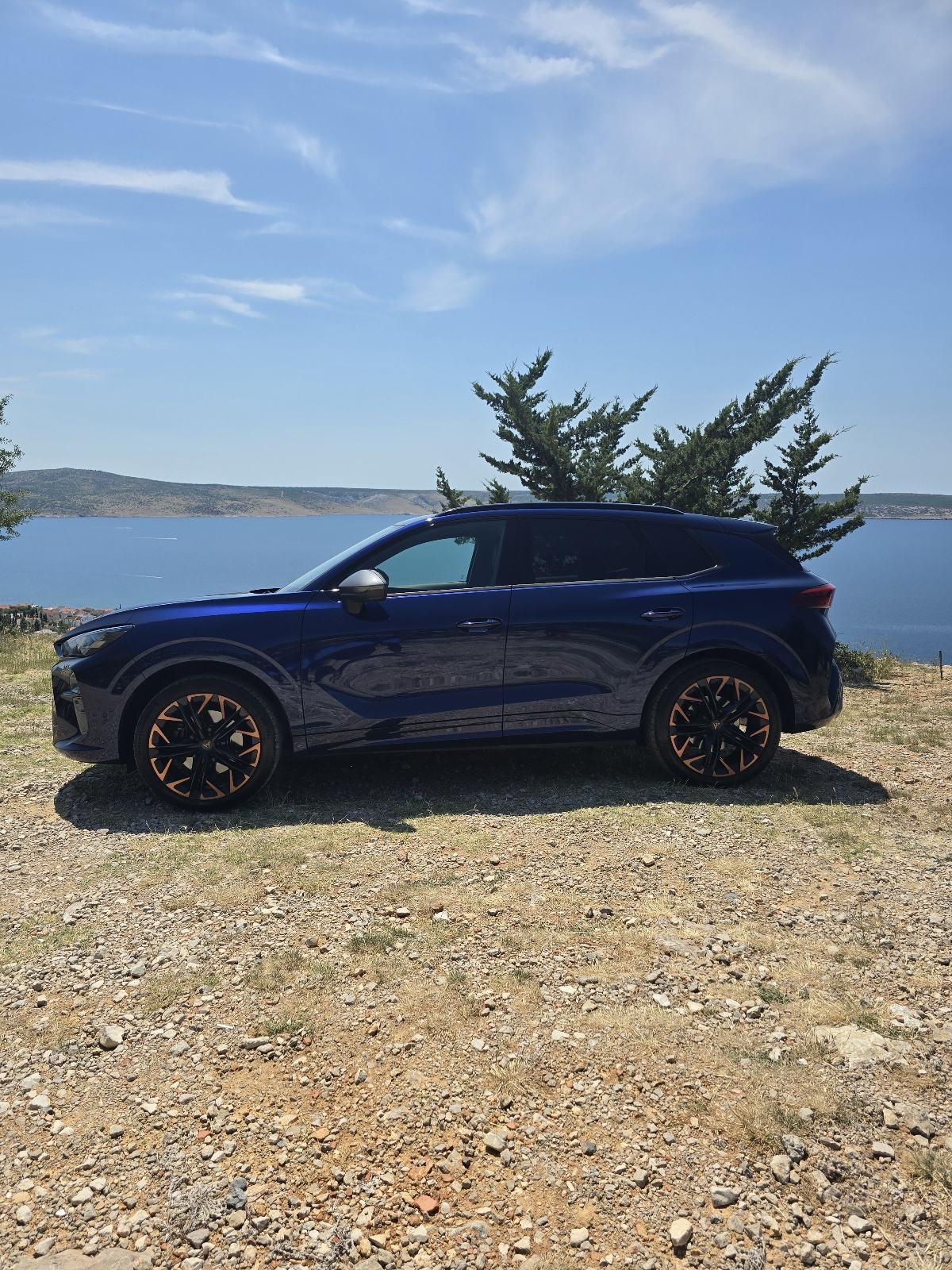 Cupra Terramar 2.0 TSI, 195 kW (265 KS), DSG, 4Drive. automatik, fotografija 4