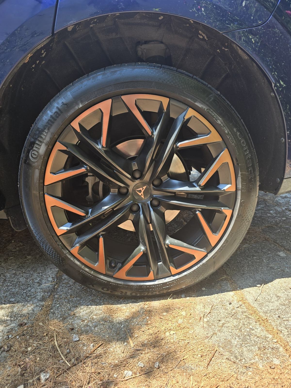 Cupra Terramar 2.0 TSI, 195 kW (265 KS), DSG, 4Drive. automatik, fotografija 12