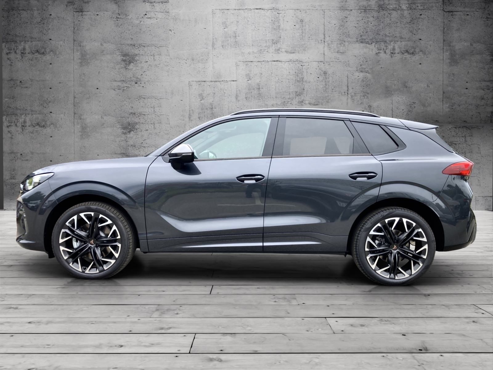 CUPRA TERRAMAR 2.0 TSI DSG 4Drive, fotografija 2