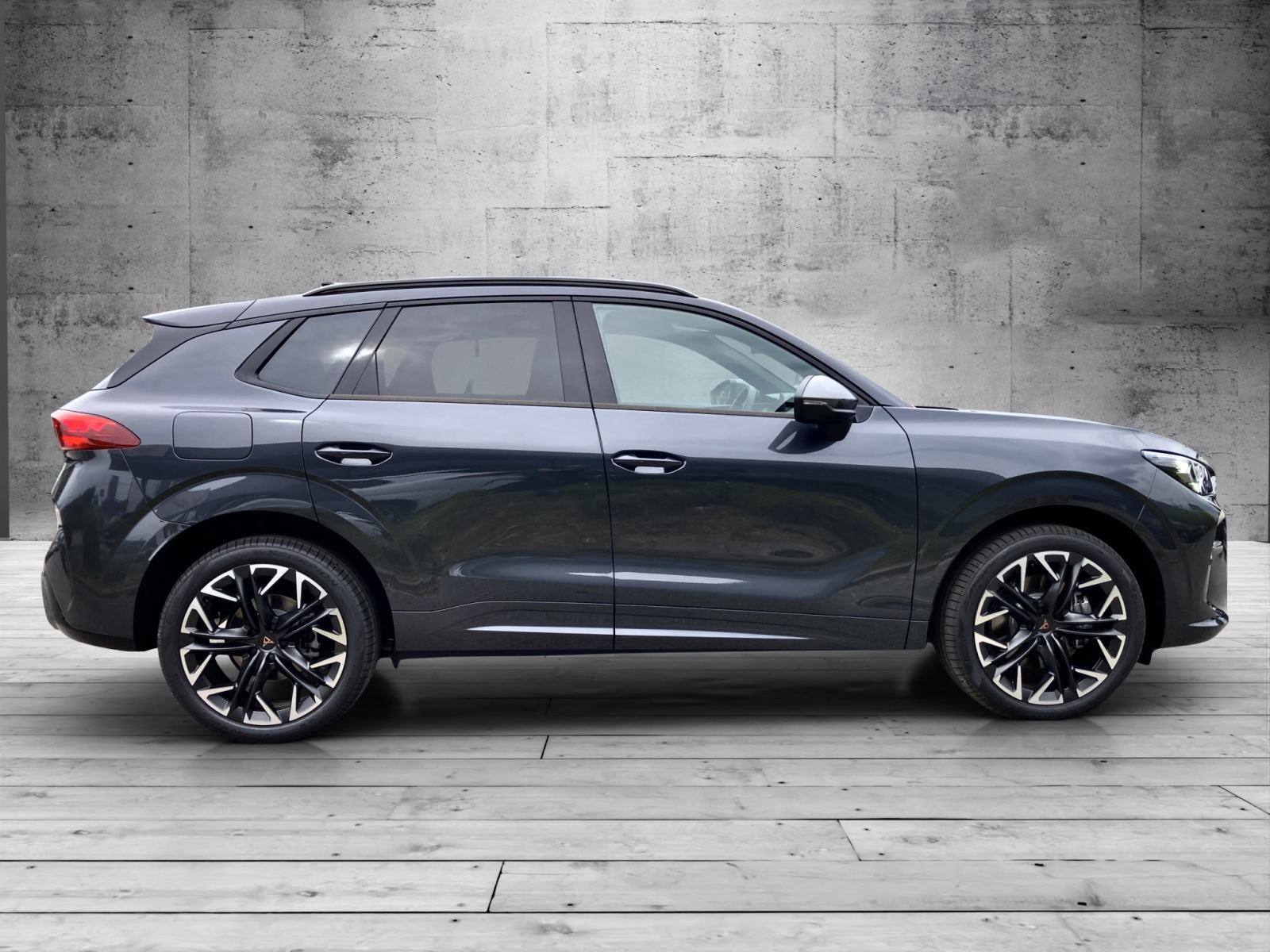 CUPRA TERRAMAR 2.0 TSI DSG 4Drive, fotografija 6