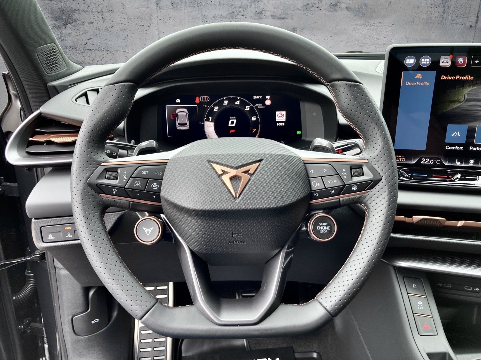 CUPRA TERRAMAR 2.0 TSI DSG 4Drive, fotografija 10