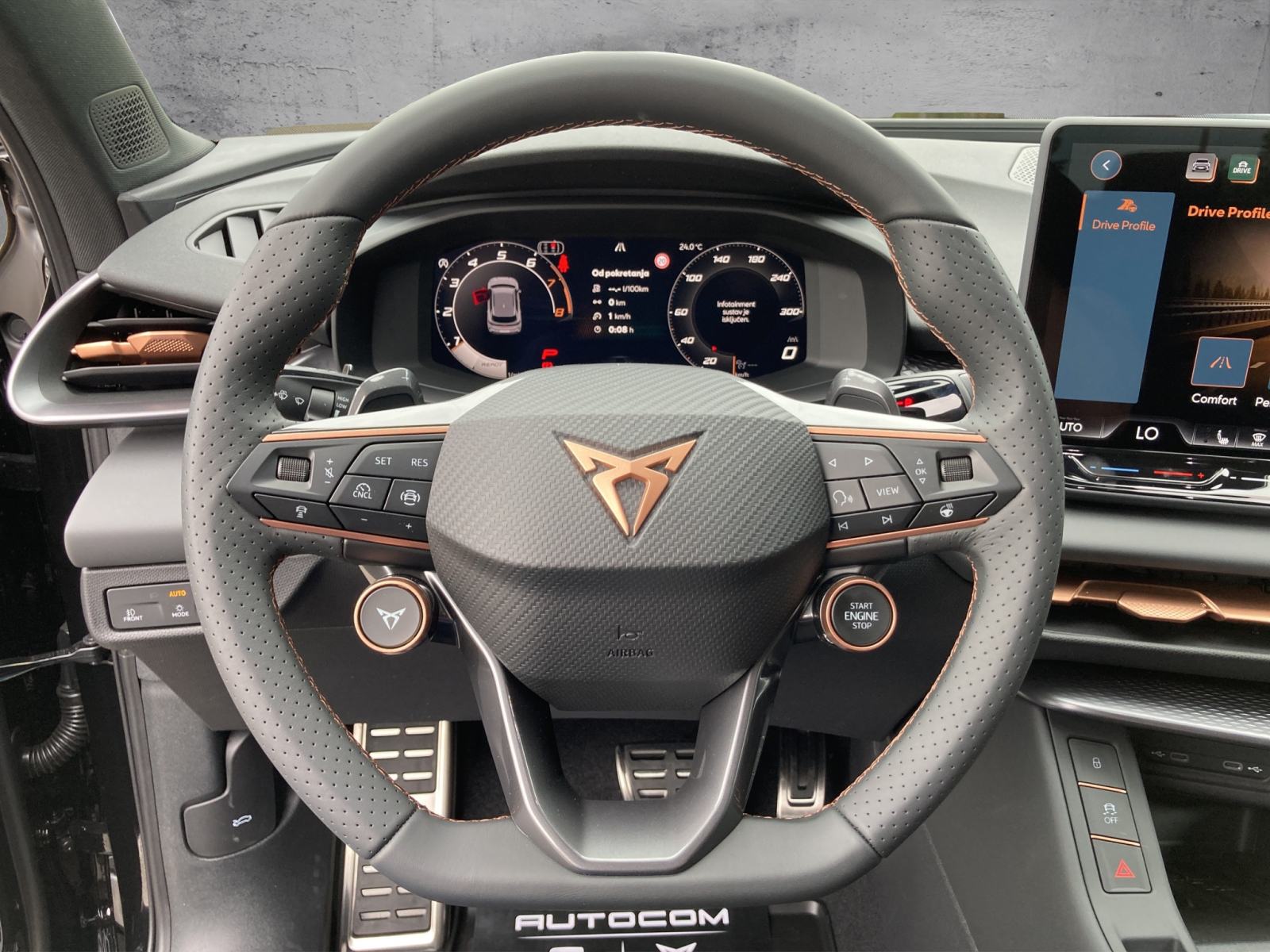 CUPRA TERRAMAR 2.0 TSI DSG 4Drive, fotografija 10