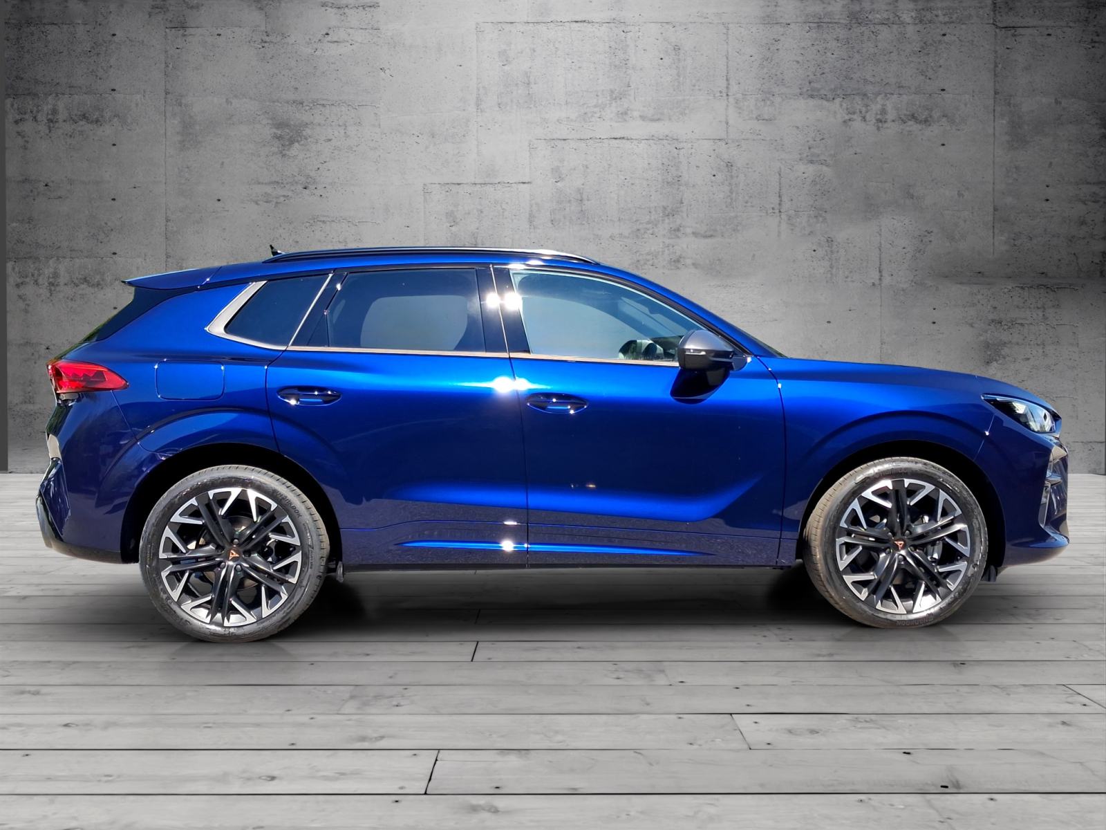 CUPRA TERRAMAR 2.0 TSI DSG 4Drive, fotografija 6