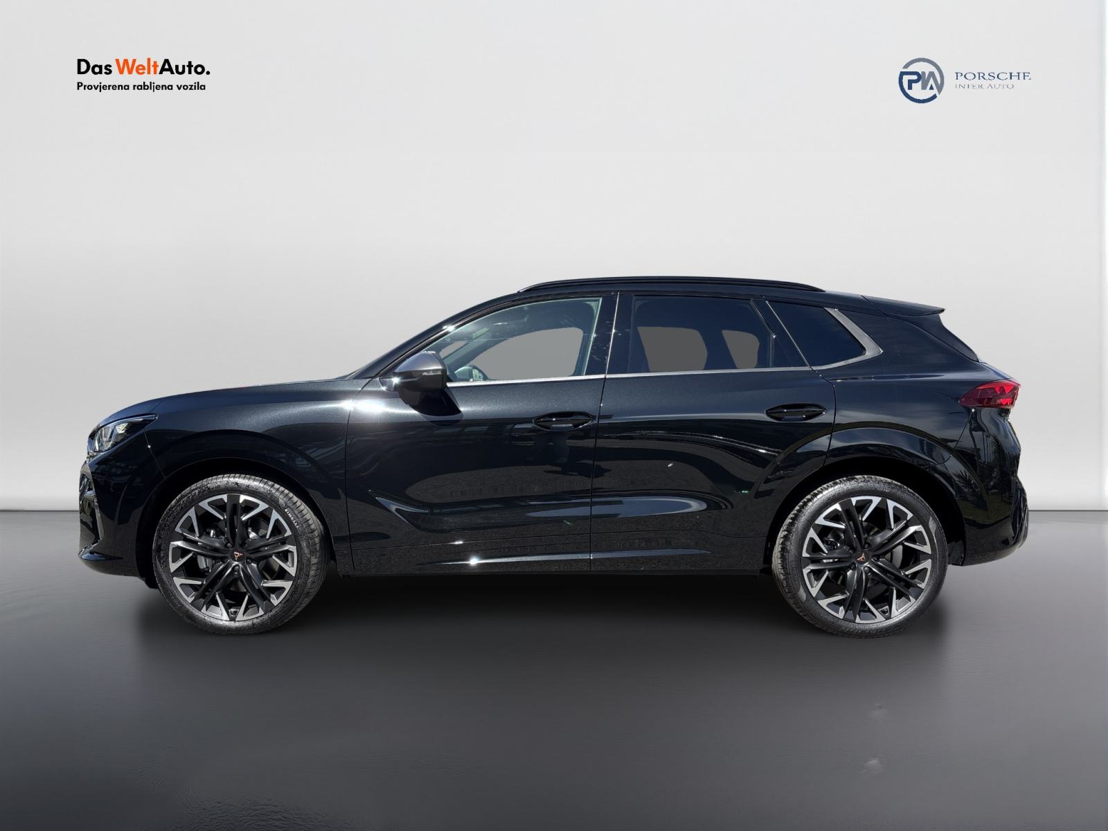 Cupra Terramar 2.0 TSI DSG 4Drive, fotografija 2