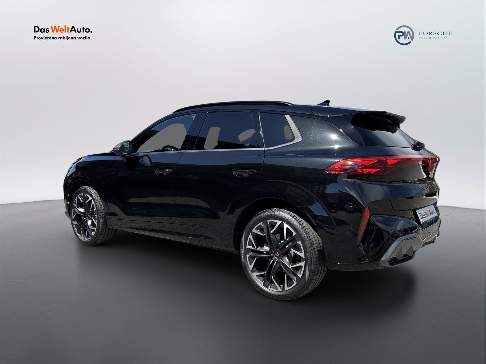 Cupra Terramar 2.0 TSI DSG 4Drive, fotografija 4