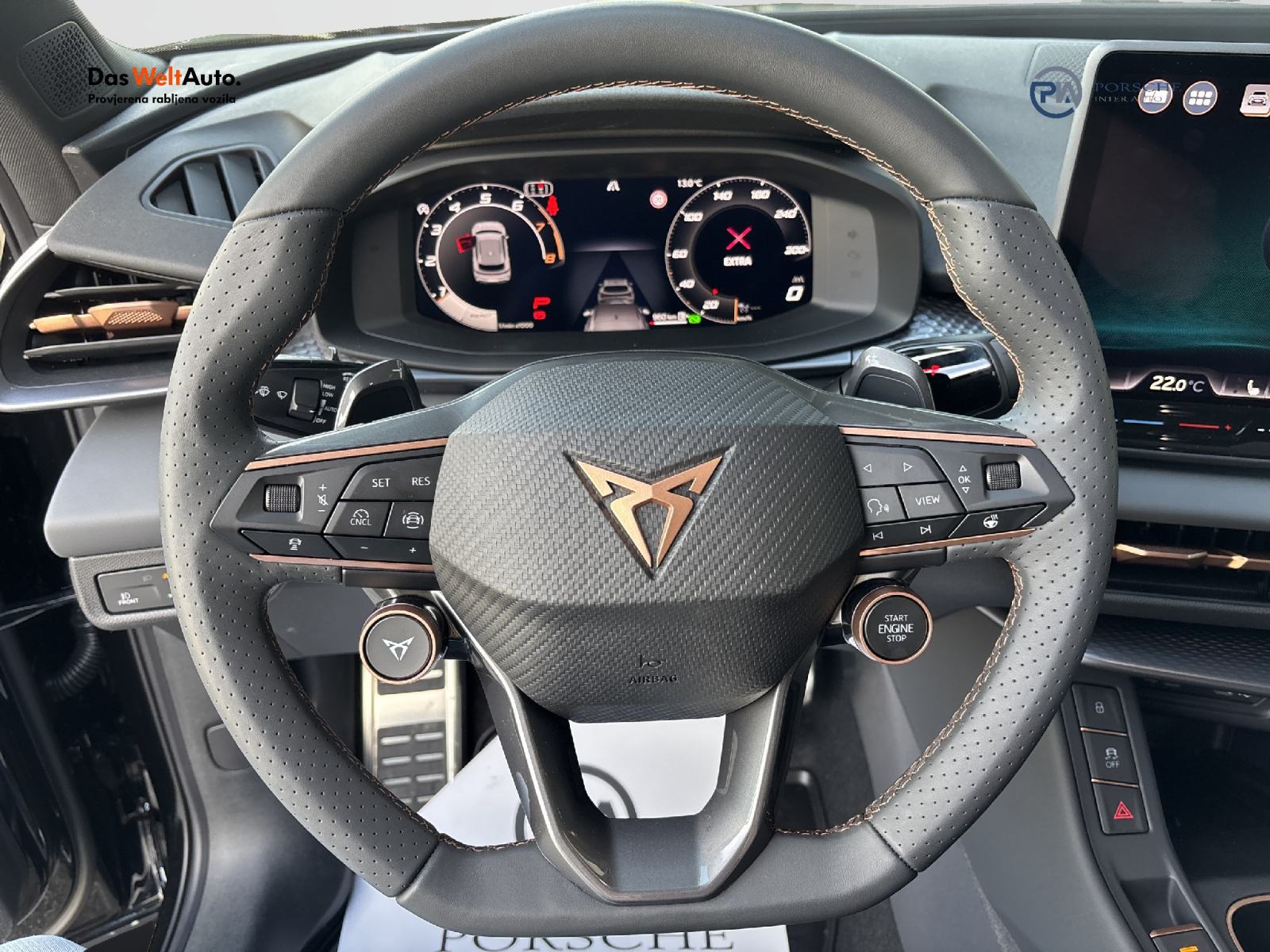 Cupra Terramar 2.0 TSI DSG 4Drive, fotografija 13