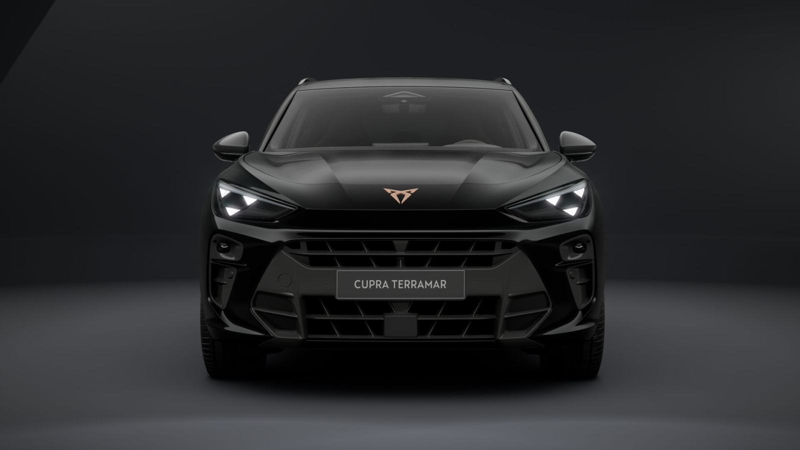 Cupra Terramar 2.0 tsi DSG 4DRIVE **VOZILO U DOLASKU**, fotografija 2
