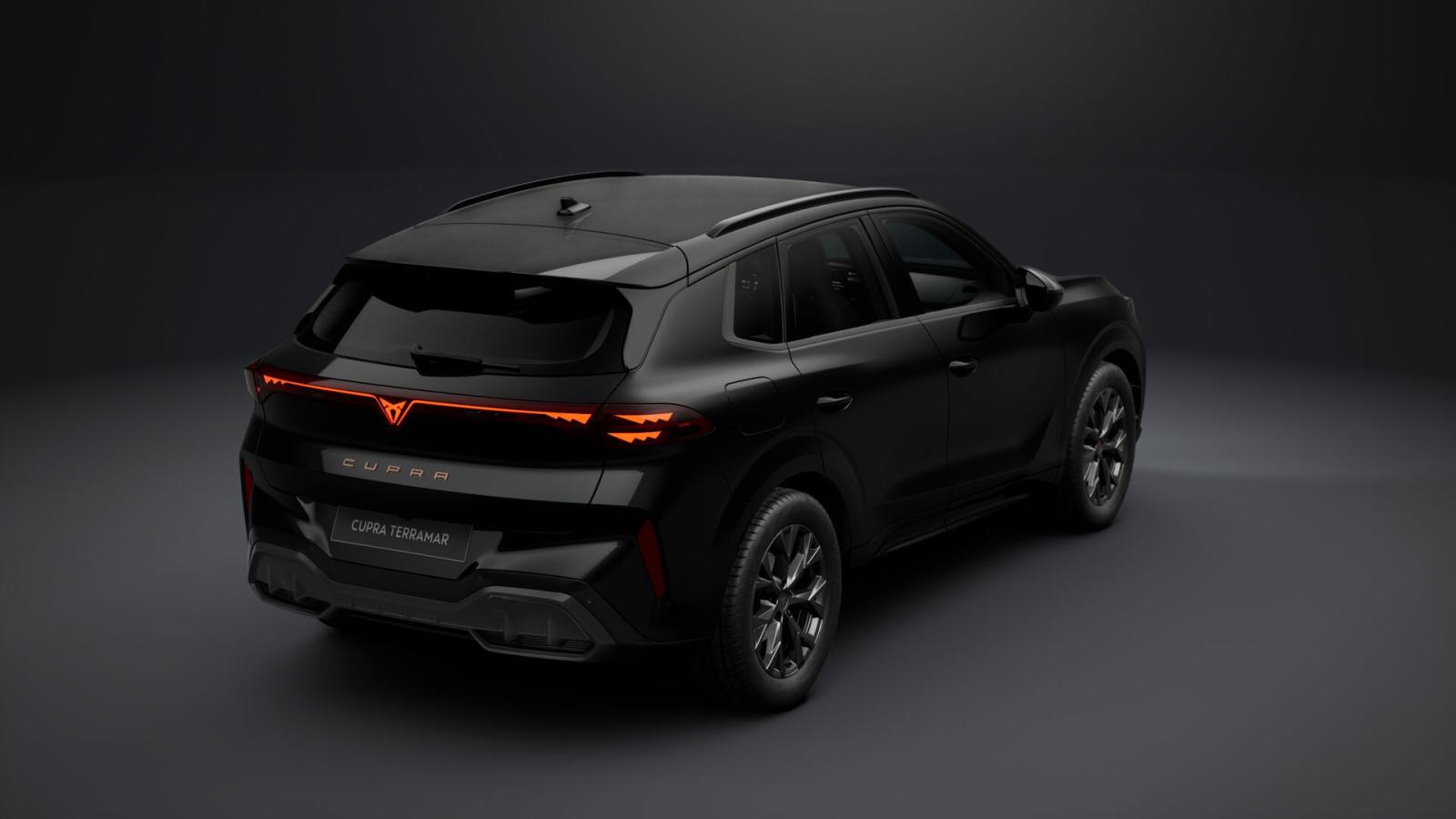 Cupra Terramar 2.0 tsi DSG 4DRIVE **VOZILO U DOLASKU**, fotografija 8