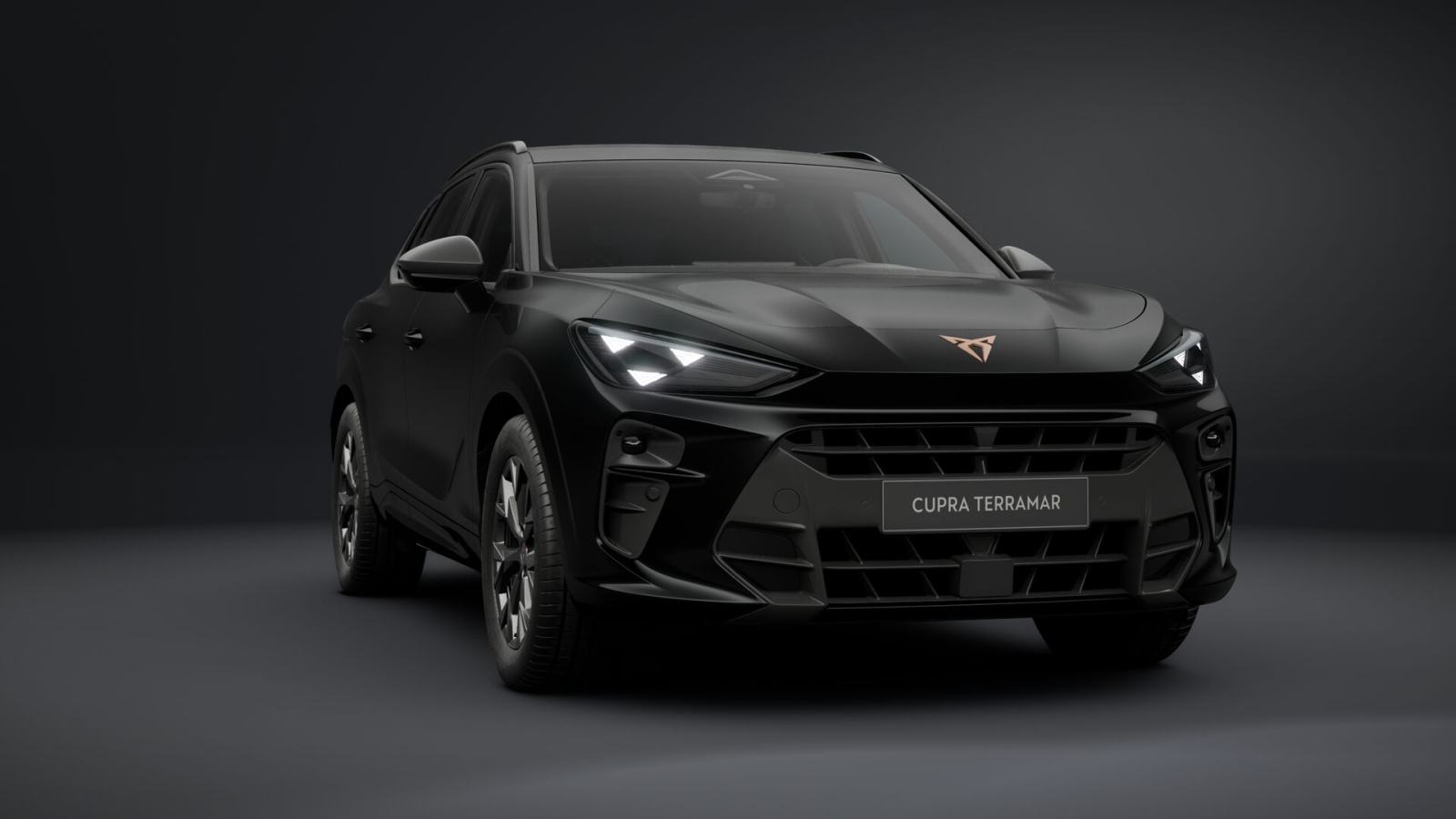 Cupra Terramar 2.0 tsi DSG 4DRIVE **VOZILO U DOLASKU**, fotografija 9