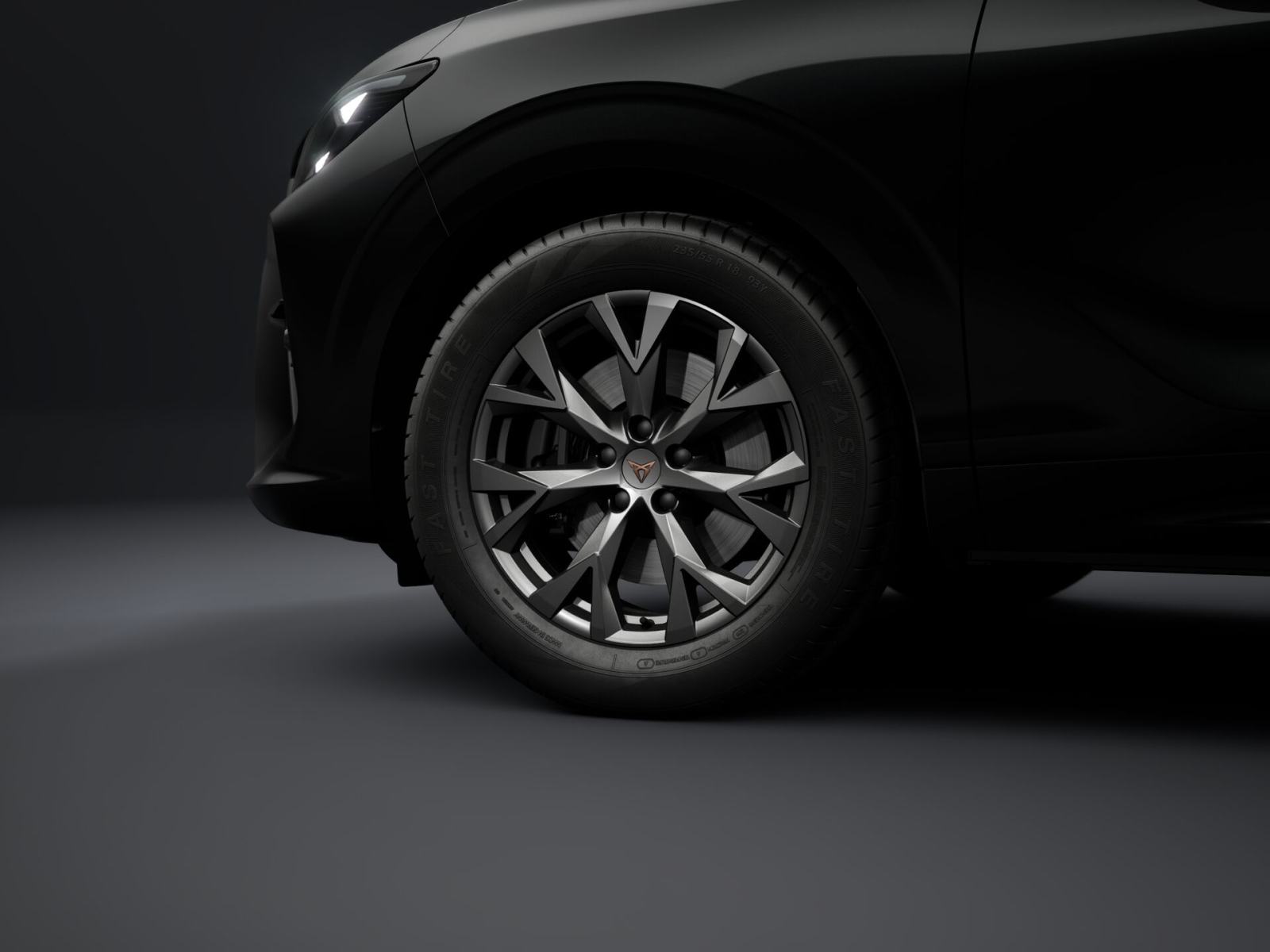Cupra Terramar 2.0 tsi DSG 4DRIVE **VOZILO U DOLASKU**, fotografija 14