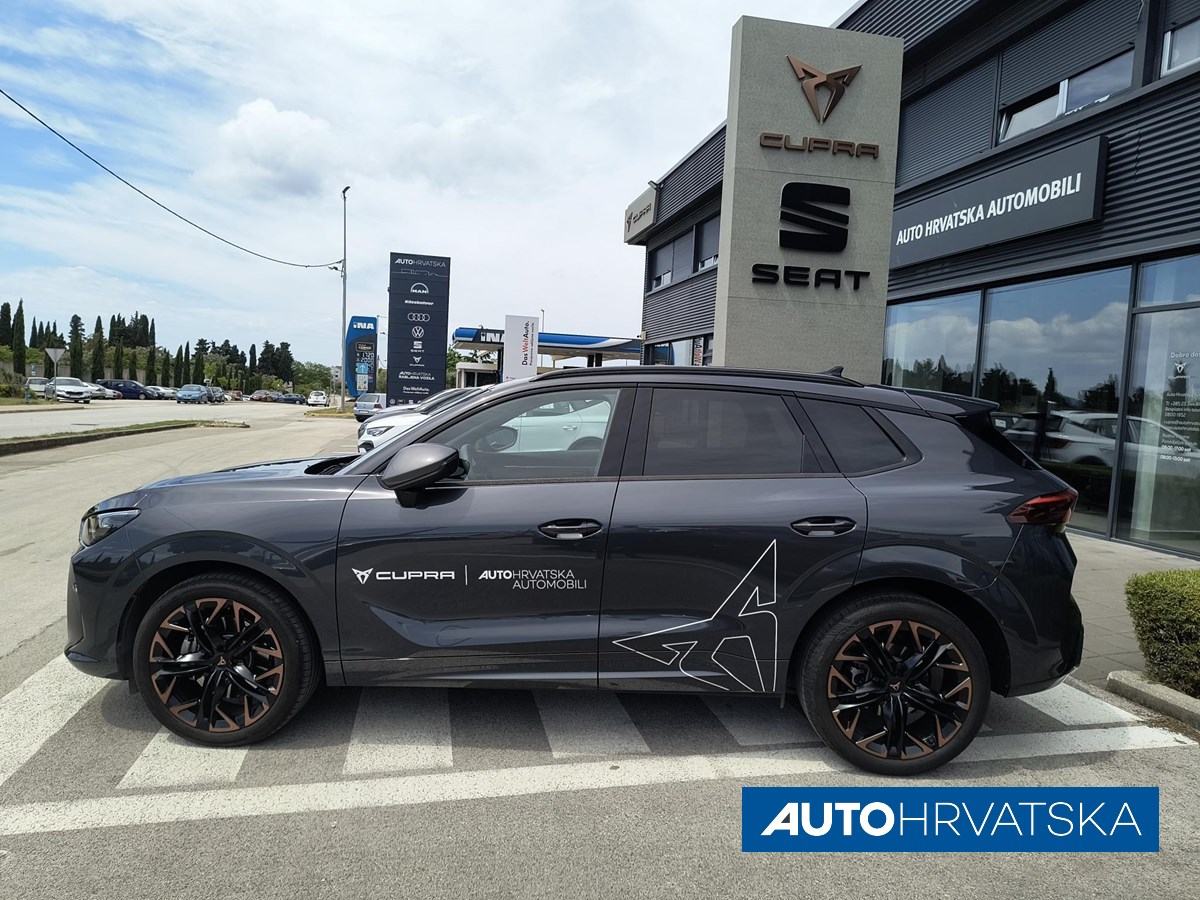 CUPRA TERRAMAR 2.0 TSI DSG 4M, 40.600,00 €, fotografija 8