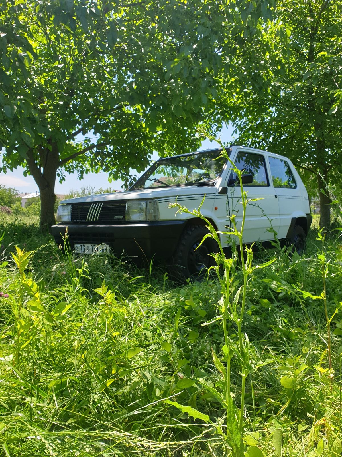Fiat Panda 750,4x4, Sergio Tacchini, fotografija 6